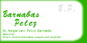 barnabas pelcz business card