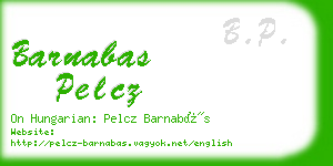 barnabas pelcz business card